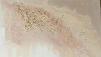 Fabienne Neele Wälle: Taraveda-Art - Avalon * Die Nebel