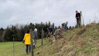 Natur verbindet - Heckenpflanzung auf dem Hof Wannenwis