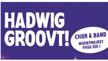 «Hadwig groovt!»