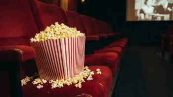 The ones we love: "Twilight BINGE"