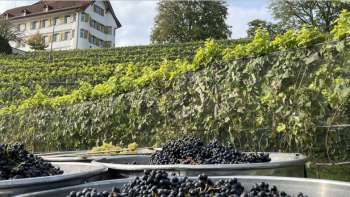 Schlossfest Reblüt