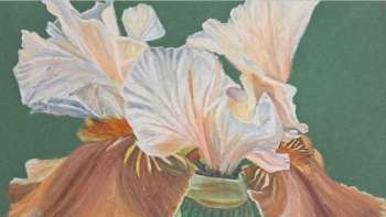 Joy Schmidt Art - Raumnahme