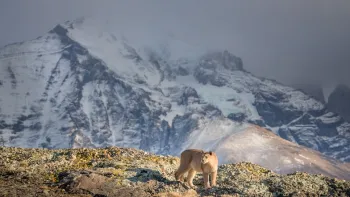 Explora: Patagonien