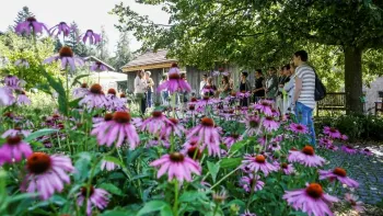 öffentliche Führung