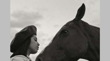Gaucho Gaucho