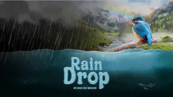 Raindrop – Die Reise des Wassers