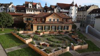 Monastery garden St.Gallen 