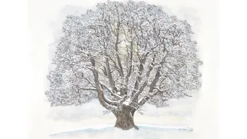 Walter Dick Aterlierausstellung 2025