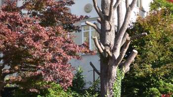 Logement de vacances à Saint-Gall.