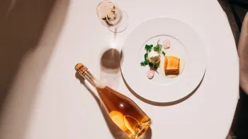 Gourmet Dinner auf dem Bio- Weingut 1a