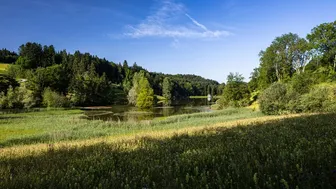 Führung um den Wenigerweiher