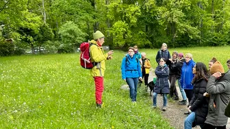 Essbare Wildkräuter - kennenlernen und geniessen