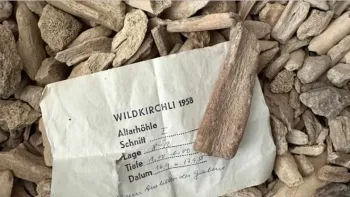 Alte Funde, neue Fragen – aktuelle Steinzeitforschung im Kul