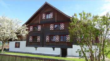 HandFest. Zur Bedeutung der menschlichen Hand