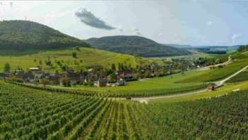 Winzer zu Besuch Winzer zu Besuch