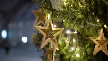 Advent auf dem Lindenplatz