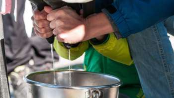 Alpine fun: the employee event with fun and adventure
