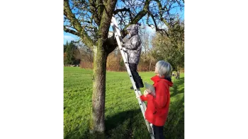 Nistkastenreinigen für Familien mit Kindern und Einzelperson