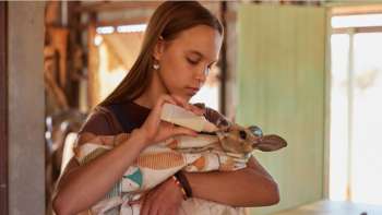 Lilly und die Kängurus