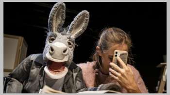 Rahel Wohlgensinger - Herr Fässler und die Stürme der Liebe