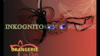 Inkognito