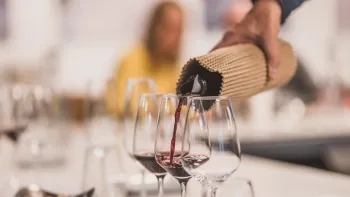 Rebsorten-Kurs: Merlot, Chardonnay & Co. Rebsorten-Kurs: Merlot, Chardonnay & Co.