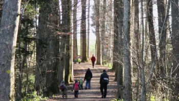 Waldbegehung Hagenbuech- und Achslenwald