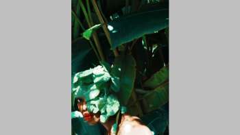 Szenebericht aus dem Sitterwerk: Valay Gada (IN) & kyle mala