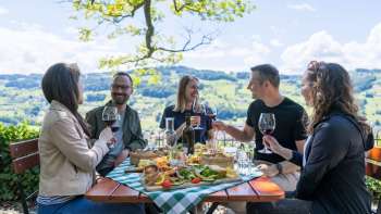 Weindegustation am Steinig Tisch in Thal mit anschliessender Brettljause
