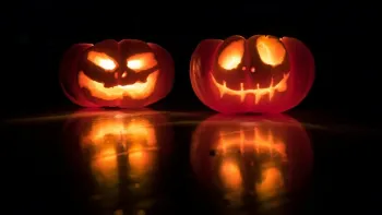 Halloween Morning - Walk