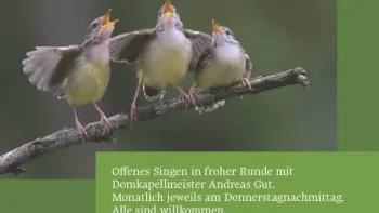 Offenes Singen in froher Runde