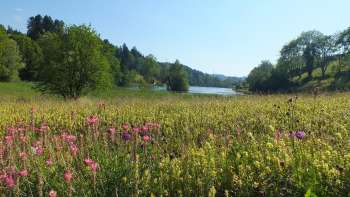 Chemin de la Vallée des Philosophes