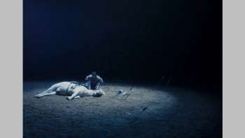 To Kill a Mongolian Horse
