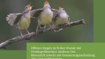 Offenes Singen in froher Runde
