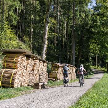 Bicycle, heart route, heart loop, heart loop Wil, Thurgau, bike, cycling, Wil