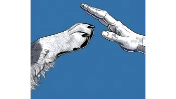 Theater Company Rüthi // Die Verwandlung