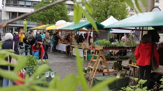 Ökomarkt St.Gallen 2025: natürlich – vielfältig – regional