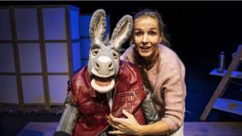 Rahel Wohlgensinger - Herr Fässler und die Stürme der Liebe