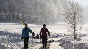 Langlaufen, Langlaufpisten, Schnee, Wintersport