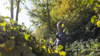 Natur verbindet – Bachpflege im Tal der Demut