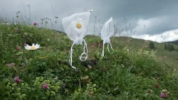 Vorpremiere: UNTER PFLANZEN Filmvorführung mit Regiegespräch