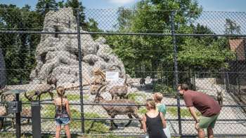 Wildpark (wildlife park) Peter und Paul Wildpark (wildlife park) Peter und Paul