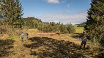 Mooreinsatz: Arnegger Schutzgebiet Witi/Altmoos Mooreinsatz: Arnegger Schutzgebiet Witi/Altmoos