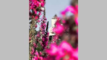 Tag des offenen Schlosstors