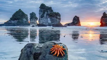 Explora präsentiert: Wunderwerk Natur