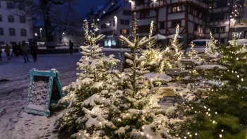 Sternenmarkt St.Gallen