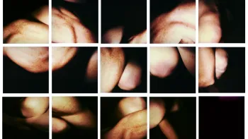 Sammlungsfieber und Hannah Villiger