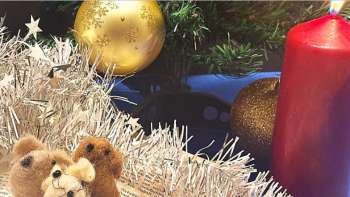 Mitmachgeschichte «fröhliche Winternacht»