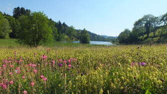 Philosophical Valley Path