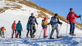Spuren im Schnee: rücksichtsvoll Natur erleben